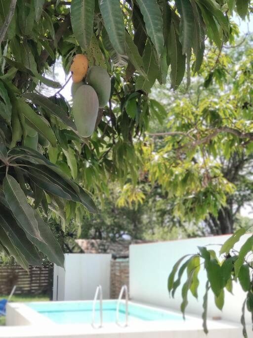 Casa Mango Amplia Con Alberca Y Cerca De La Media Luna !!! Рио-Верде Экстерьер фото