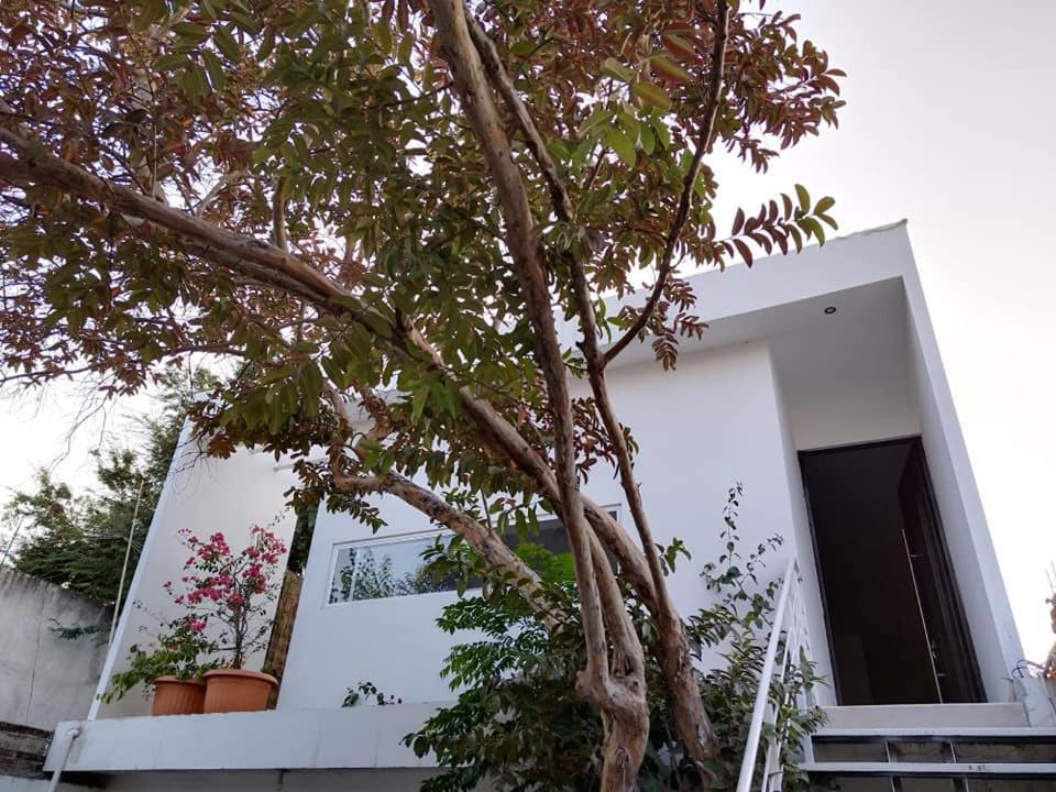 Casa Mango Amplia Con Alberca Y Cerca De La Media Luna !!! Рио-Верде Экстерьер фото